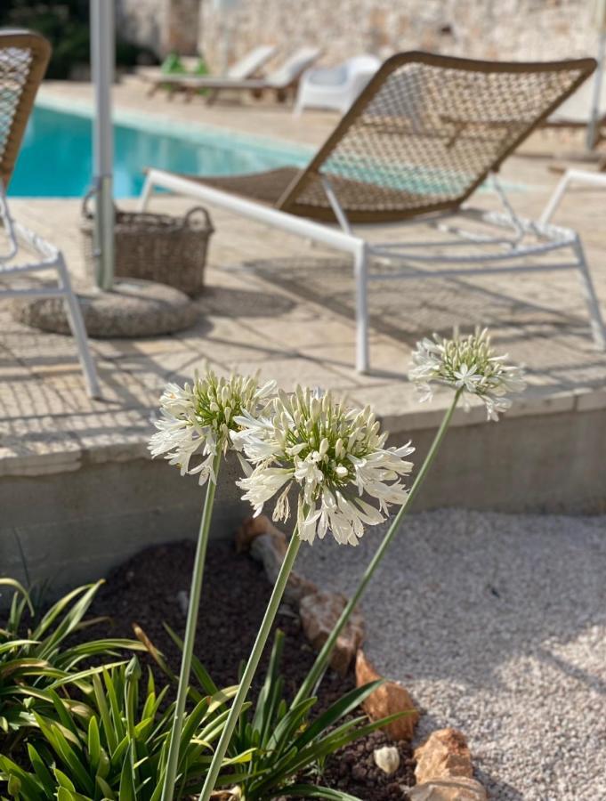 Dimora Le Ginestre Adults Only Bed & Breakfast Fasano Exterior photo