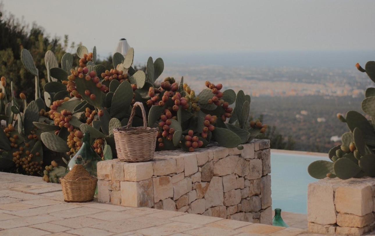 Dimora Le Ginestre Adults Only Bed & Breakfast Fasano Exterior photo