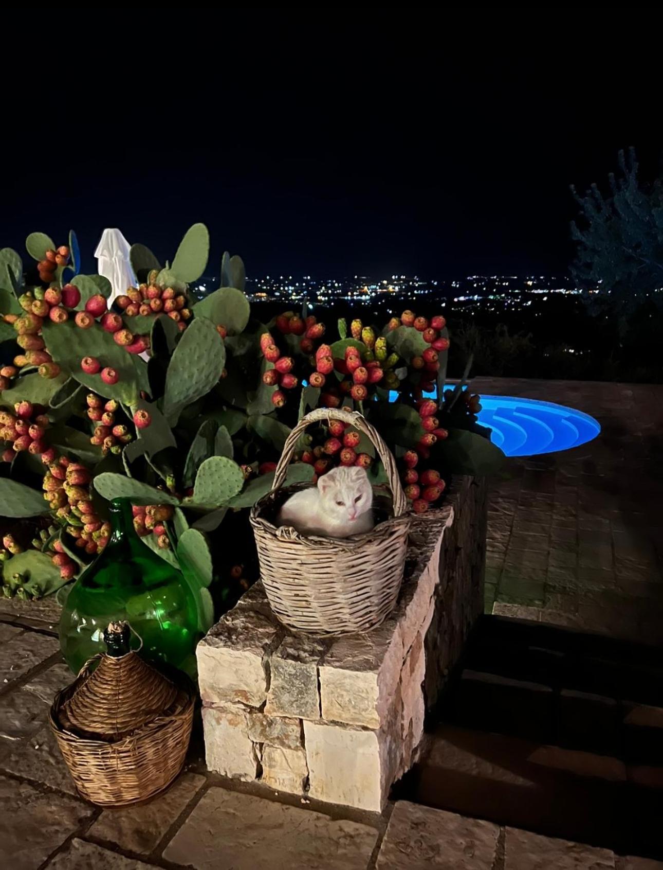 Dimora Le Ginestre Adults Only Bed & Breakfast Fasano Exterior photo